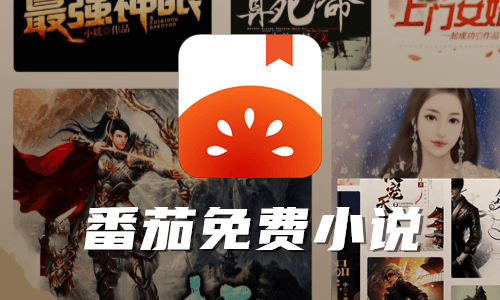 Tomato Novel Downloader：番茄小说下载器