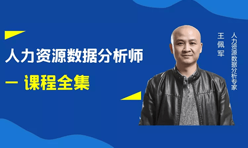 王佩军人力资源数据分析系列课程全集
