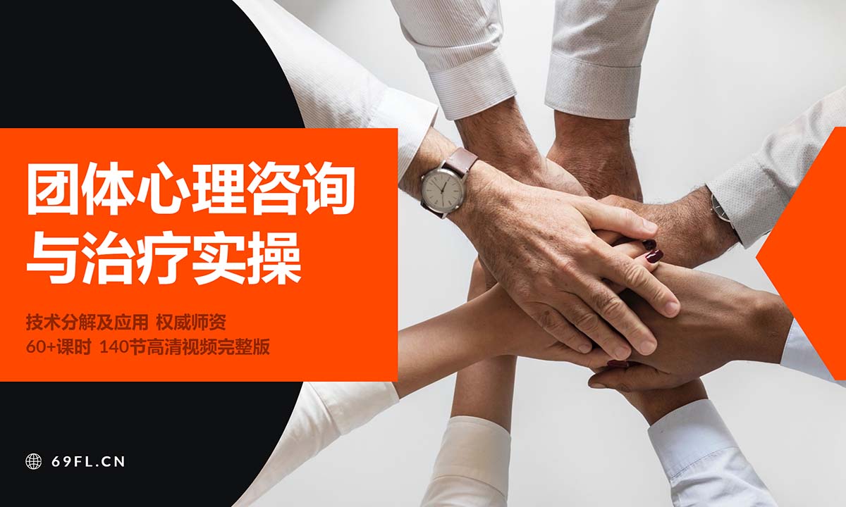 团体心理咨询与治疗实操140节高清视频完整版