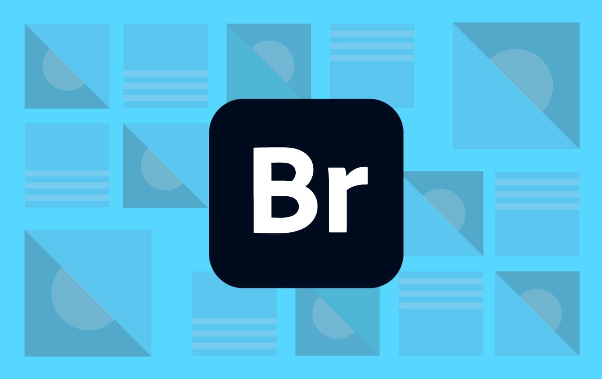 Adobe Bridge 2024 v14.0.2.191 专业图像管理软件