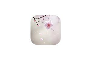 Falling：让Mac变浪漫的樱花飘落App