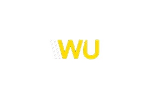 WPunion：多功能WordPress基础插件，提升网站性能与安全性