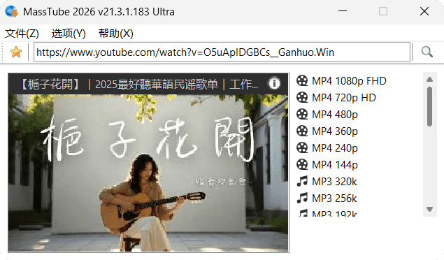 MassTube v21.3.1.183 - YouTube 视频批量下载工具绿色版