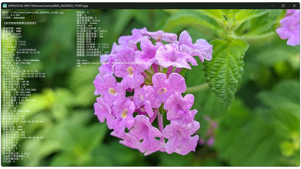 JarkViewer 开源本地图片与漫画阅览工具 提供流畅的视觉交互体验