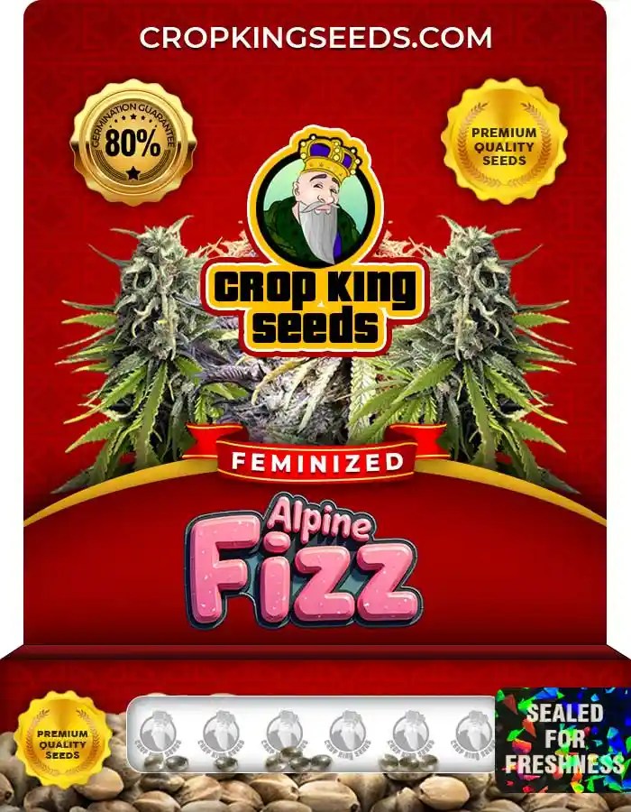 Alpine Fizz Strain Feminized Seeds I Refreshing Balanced Hybrid