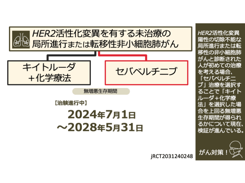 日本がん対策図鑑 | 【HER2陽性肺がん：一次治療（PFS