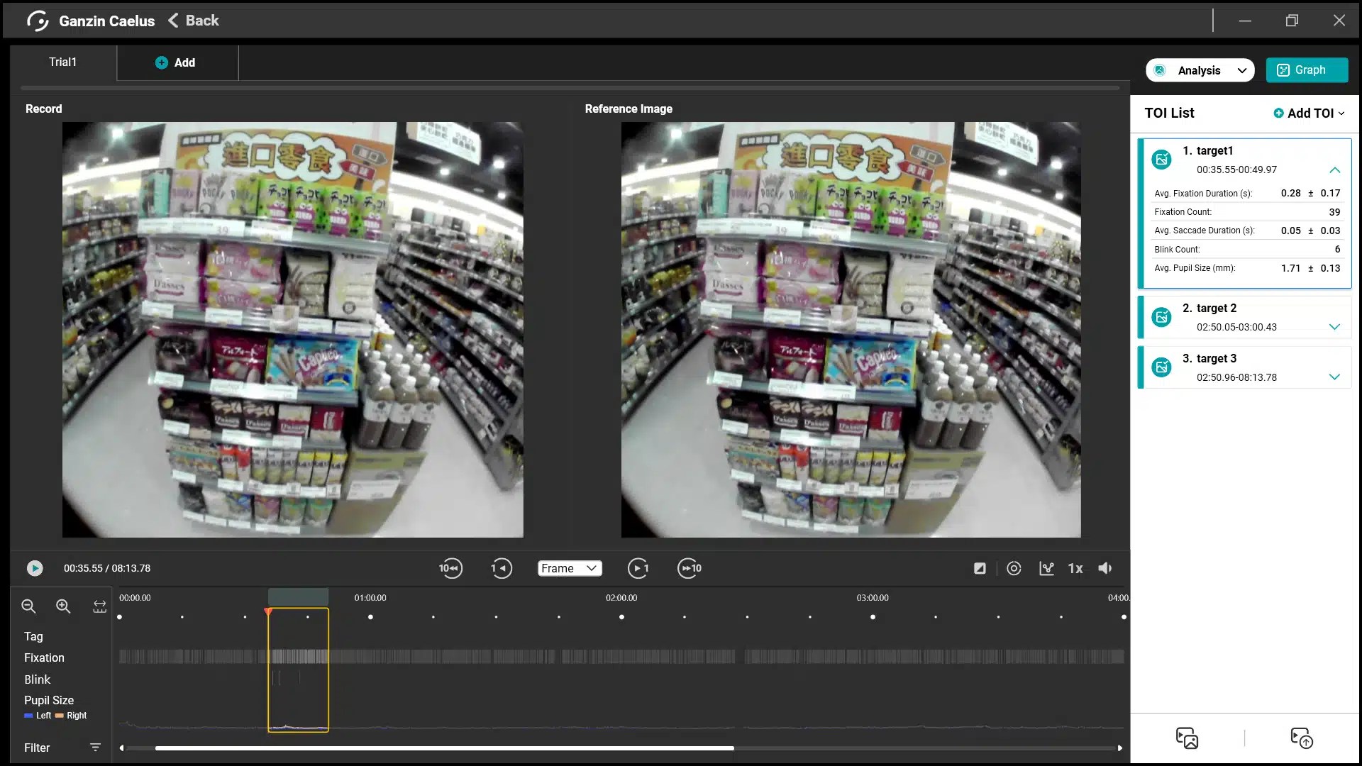 Caelus Preview and AI Data Mapping interface