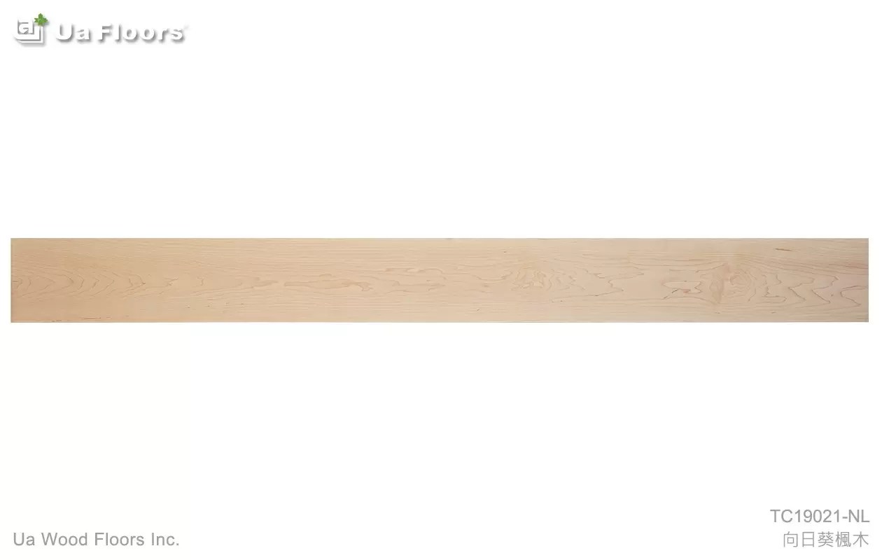 TC19021-NL