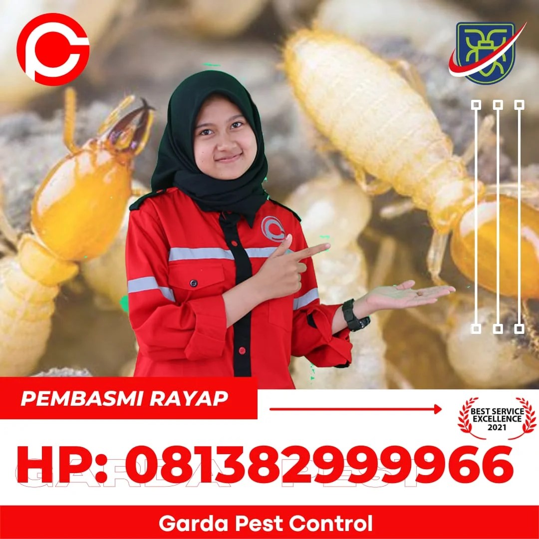 Fumida untuk selalu menjadi pilihan utama bagi anda yang ingin membasmi rayap dan mencegah rayap agar tidak kembali menyerang bangunan anda . Hp 081382999966 Jasa Suntik Rayap Di Kota Semarang Garda