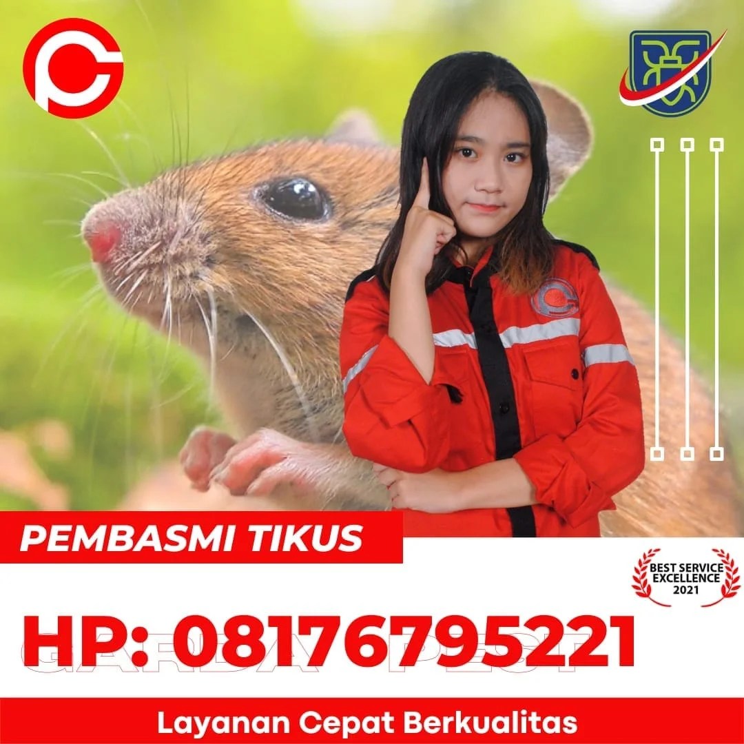 Tuntaskan masalah tikus secara profesional. Hp 08176795221 Alat Pengusir Tikus Yang Paling Efektif Di Pamijahan Cirebon Garda