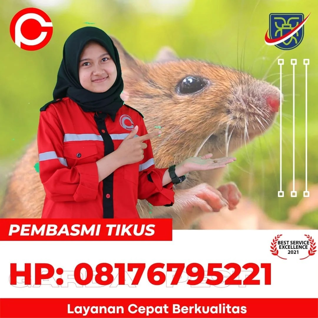 Untuk layanan pembasmian rayap atau fumigasi akan dilakukan survey sebelum pengerjaan dan akan dikenakan biaya rp 40.000. Hp 08176795221 Harga Jasa Pembasmi Tikus Di Ciperna Cirebon Garda
