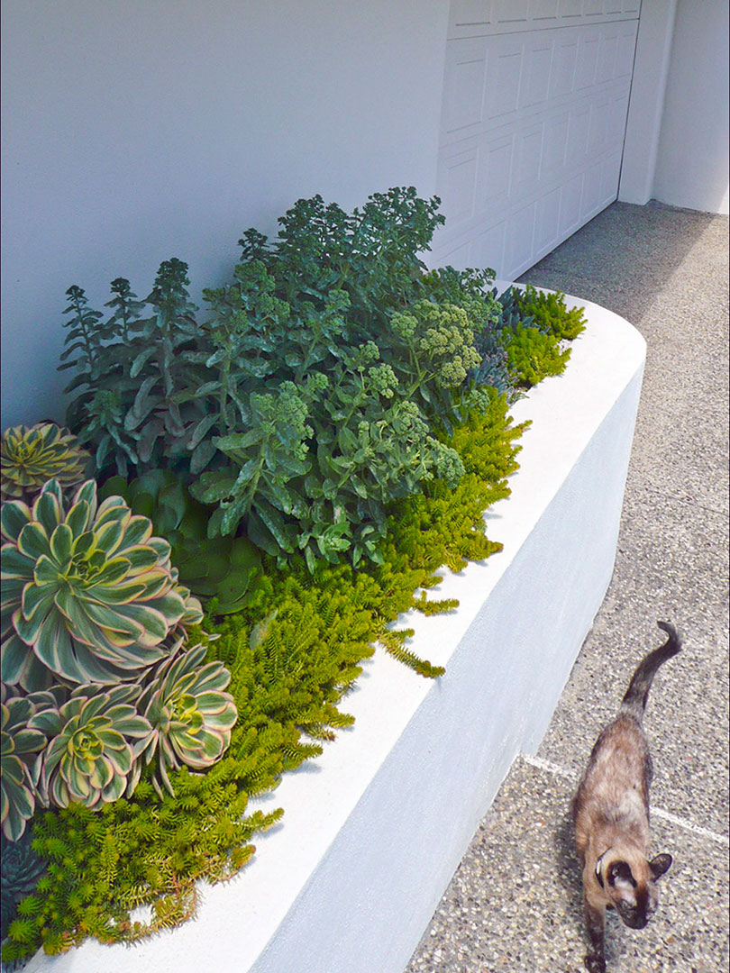 Container garden landscaping
