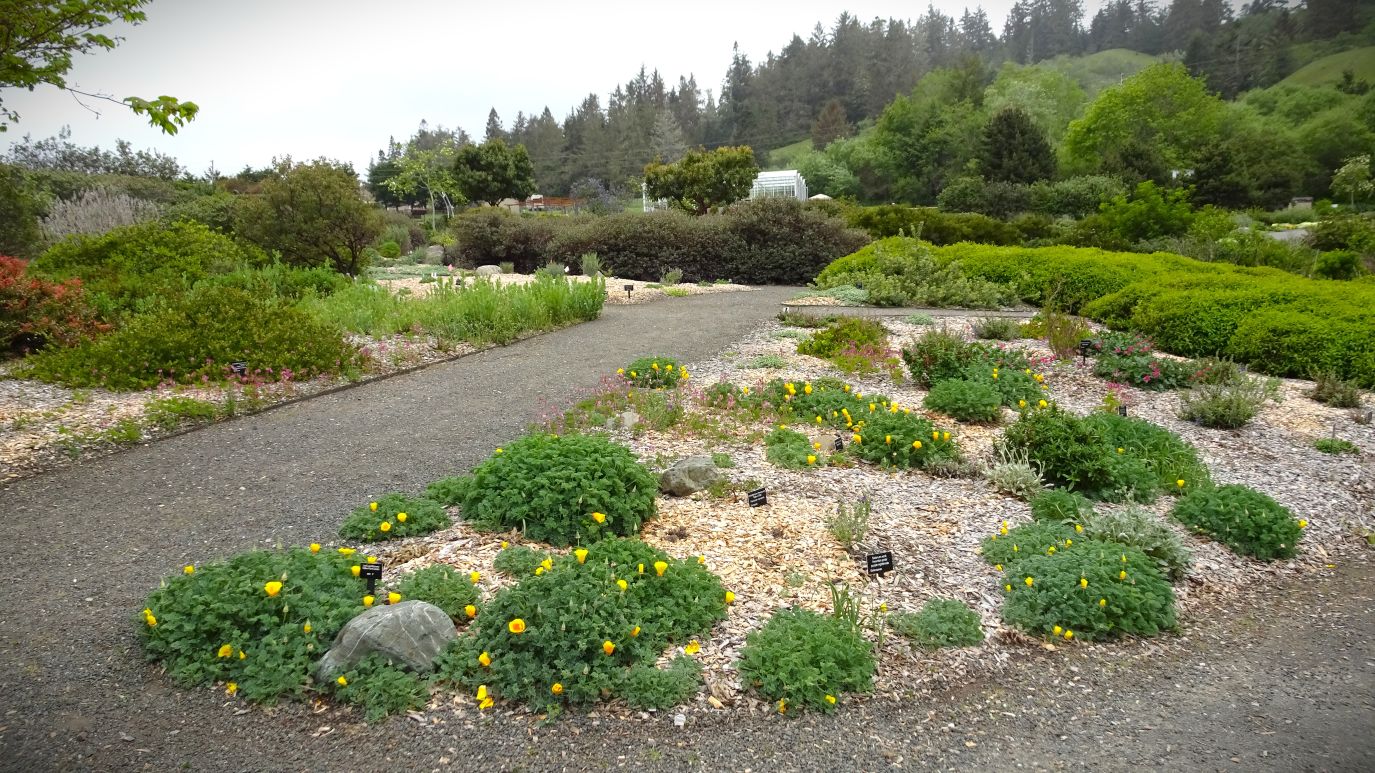 Road Trip Garden-Humboldt Botanical Garden -