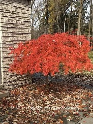 Landscapers, Mequon, Mequon landscaping, milwaukee