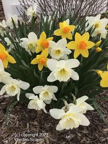 Mequon Garden Services, Garden Service, Milwaukee