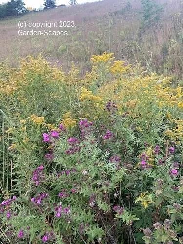 Mequon Garden Services, Garden Service, Milwaukee