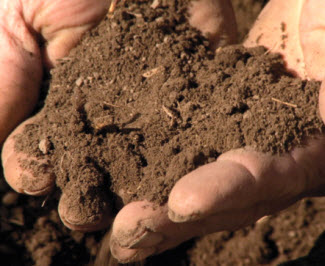 Is clay soil considered well drained