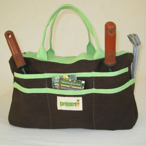 Cover Image of the Post