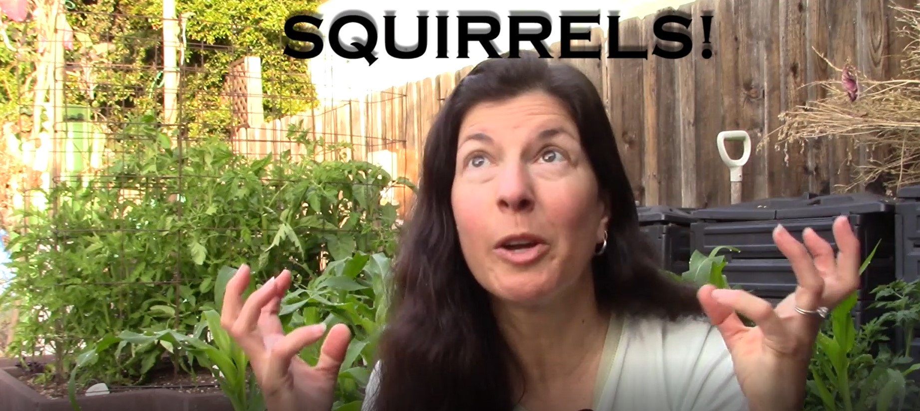 Youtube: how to keep squirrels out of the garden