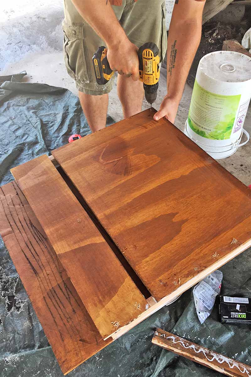 How To Build A Bat Box With Diy Instructions Gardener S Path