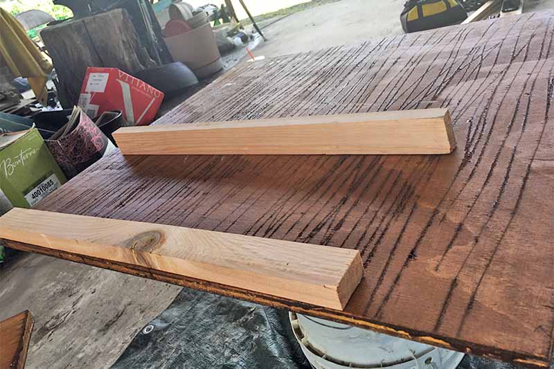 How To Build A Bat Box With Diy Instructions Gardener S Path