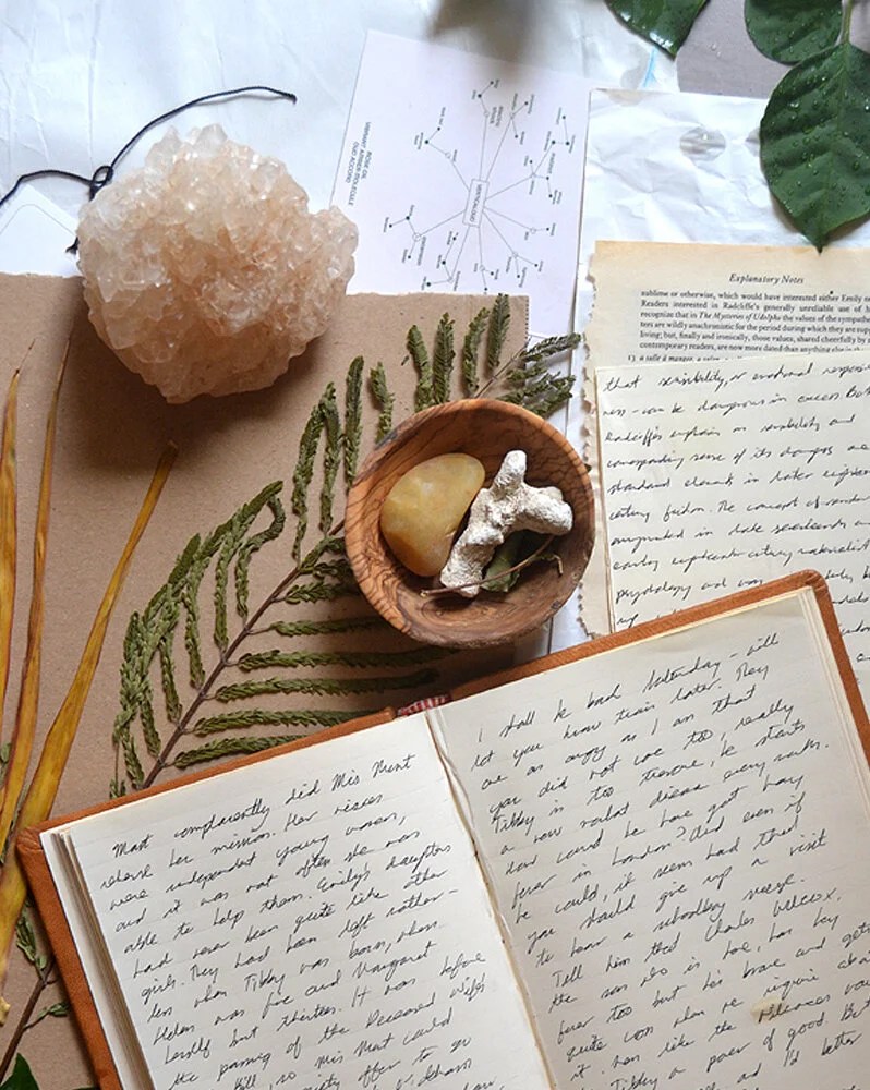 Reflect in your journal