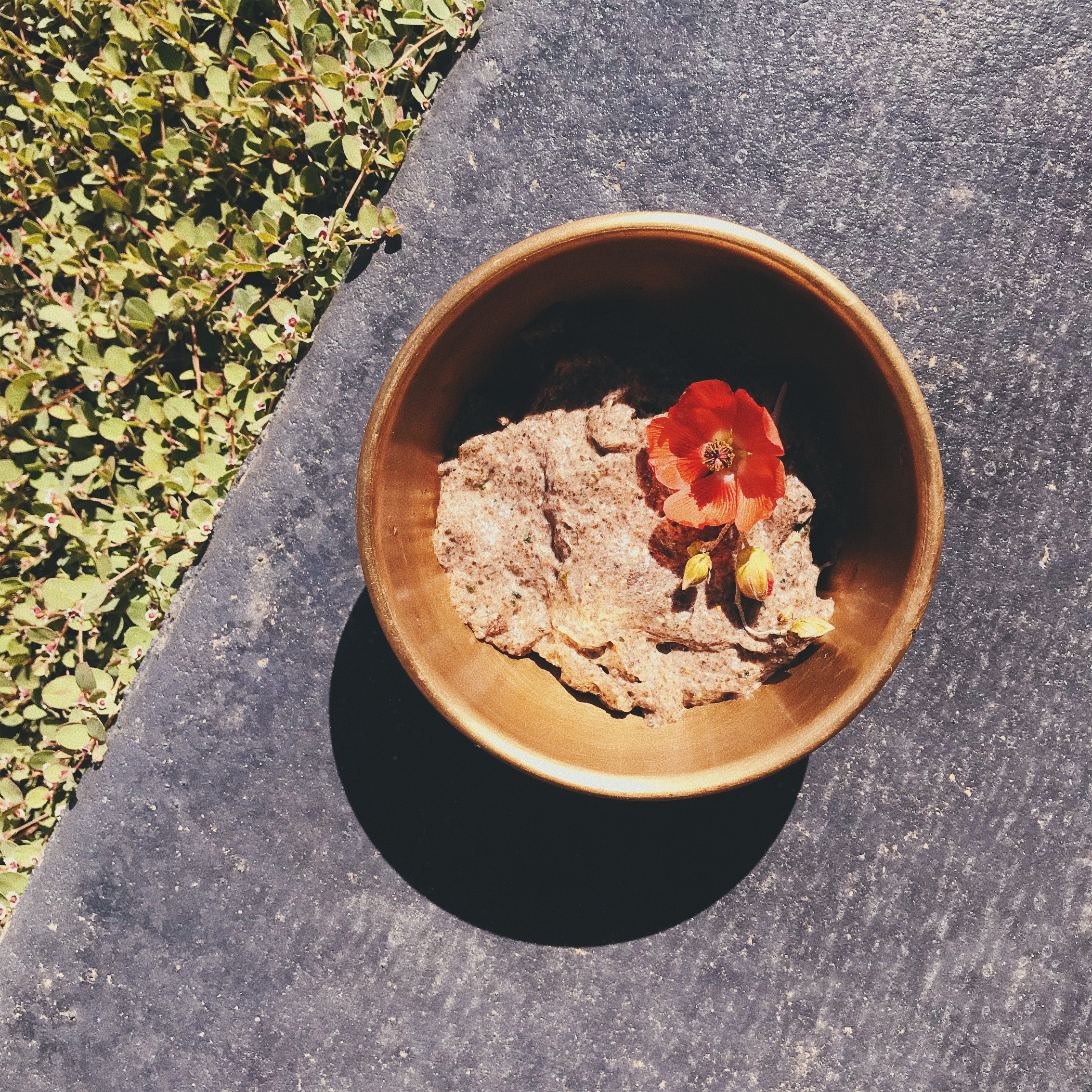 26+ How To Make Chia Seeds Mask Gif