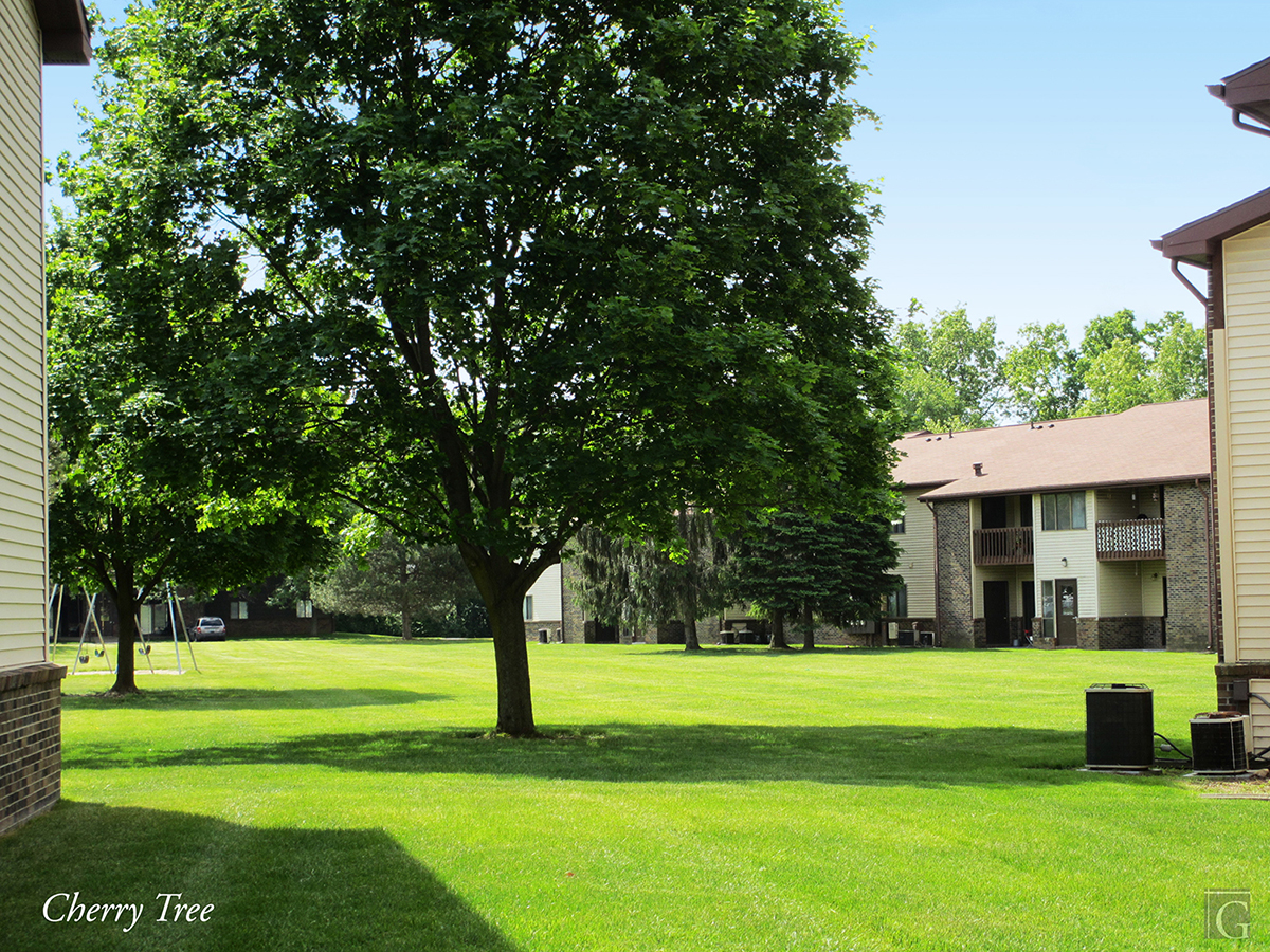Cherry tree village apartments