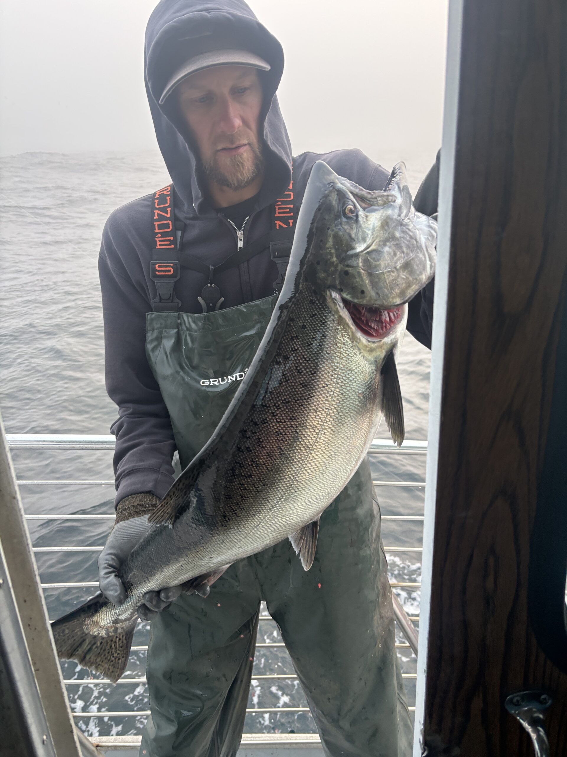 Salmon bite is ON