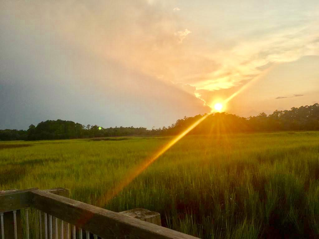 Homes with Acreage near Charleston, SC South Carolina Land