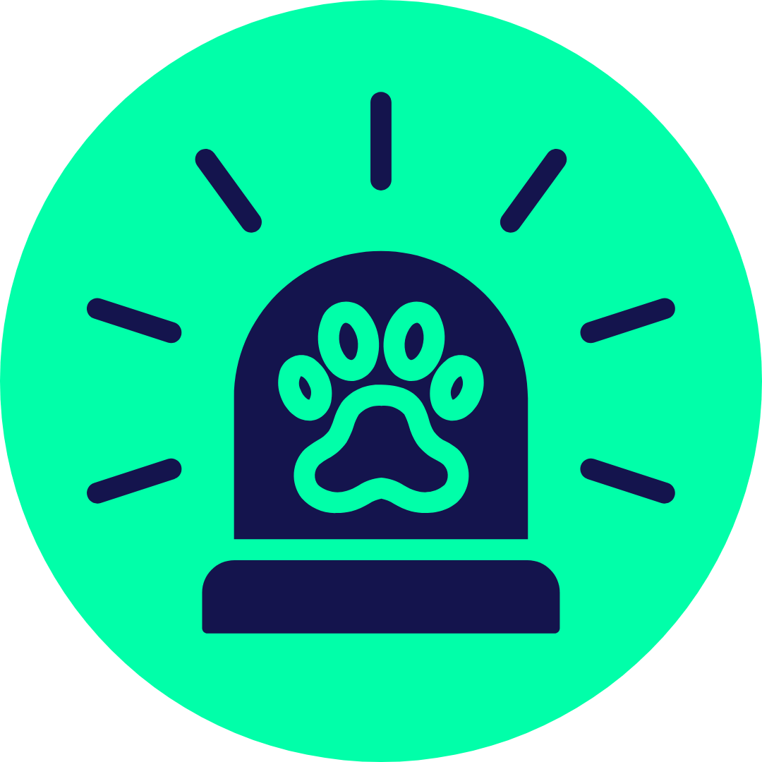 Emergency Vet Geelong