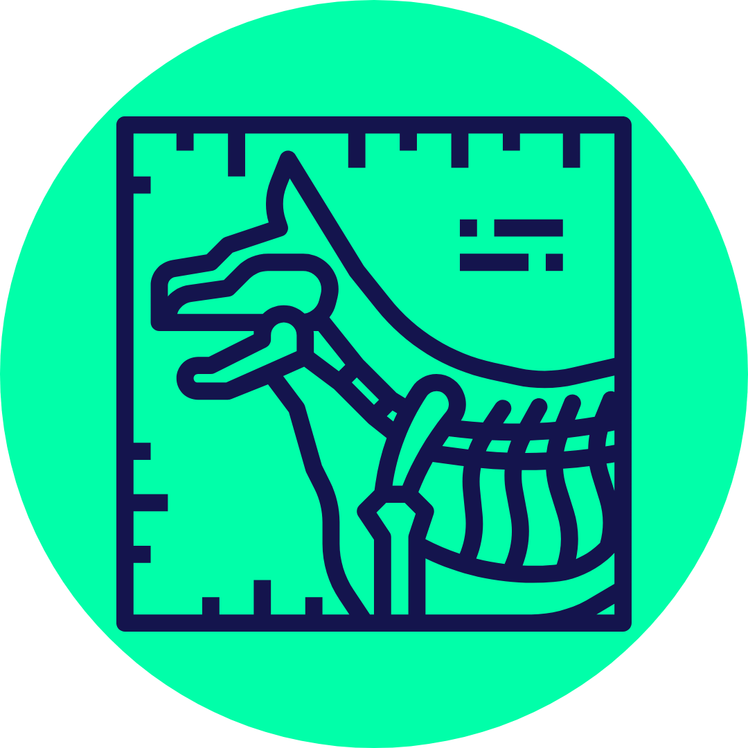 Vet Diagnostic Imaging in Geelong