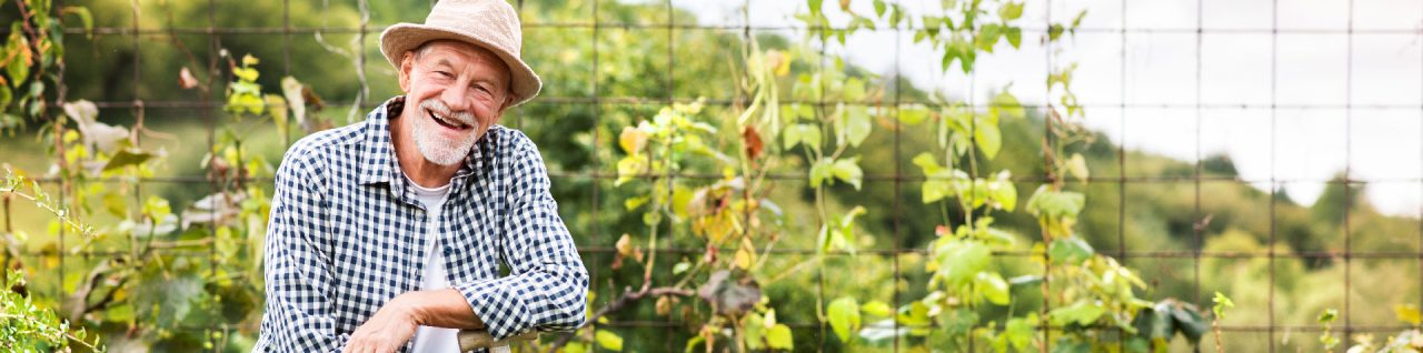 Sell Garten Primus Astschere Astamboss Ratschenschere Schwarz Ora