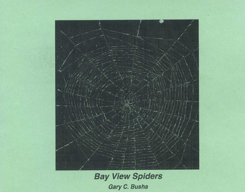 Bay View Spiders