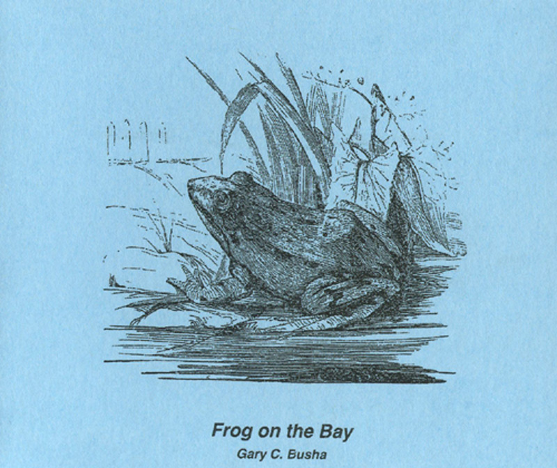 Frog on the Bay