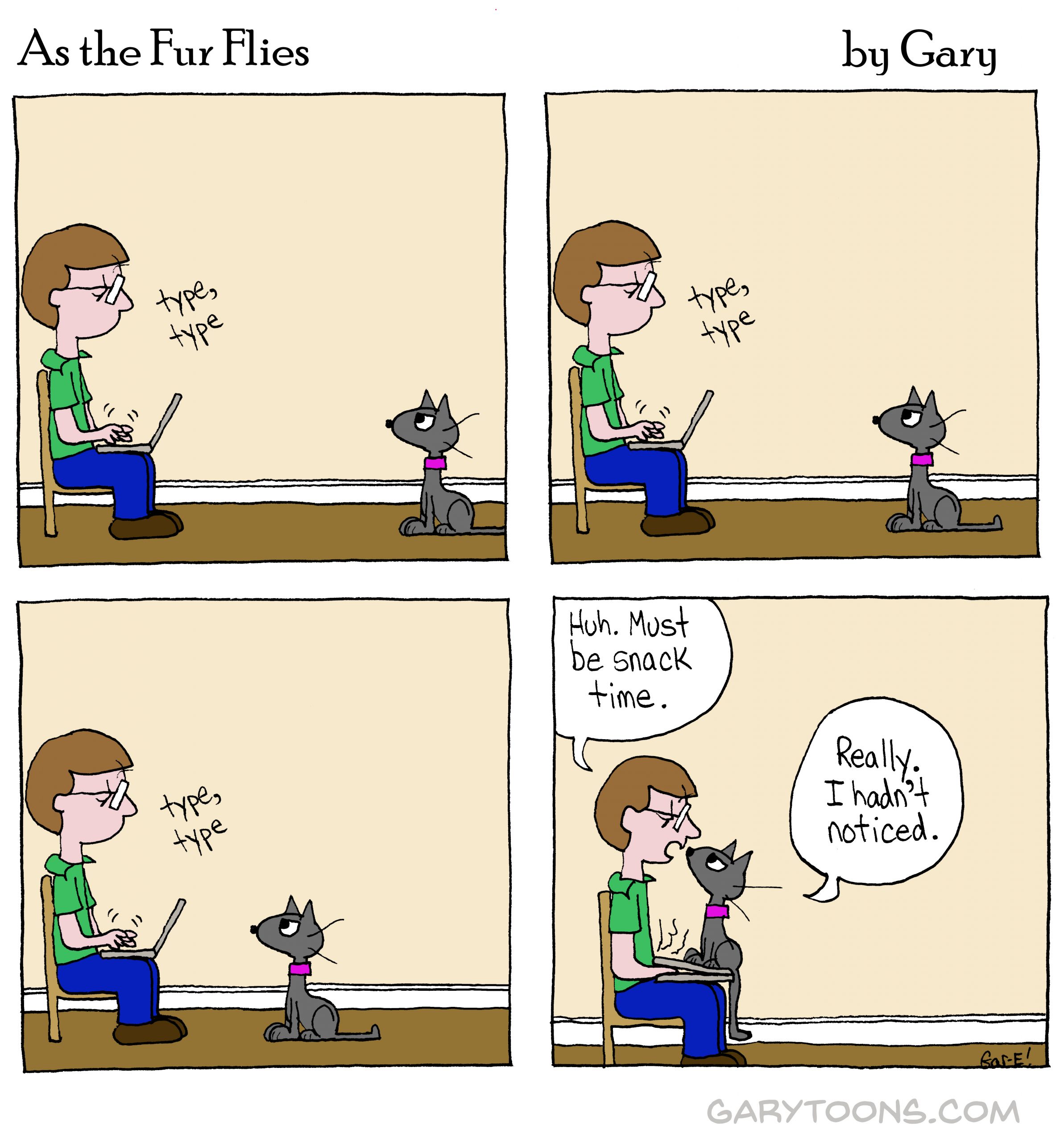 Subtle Hint Garytoons