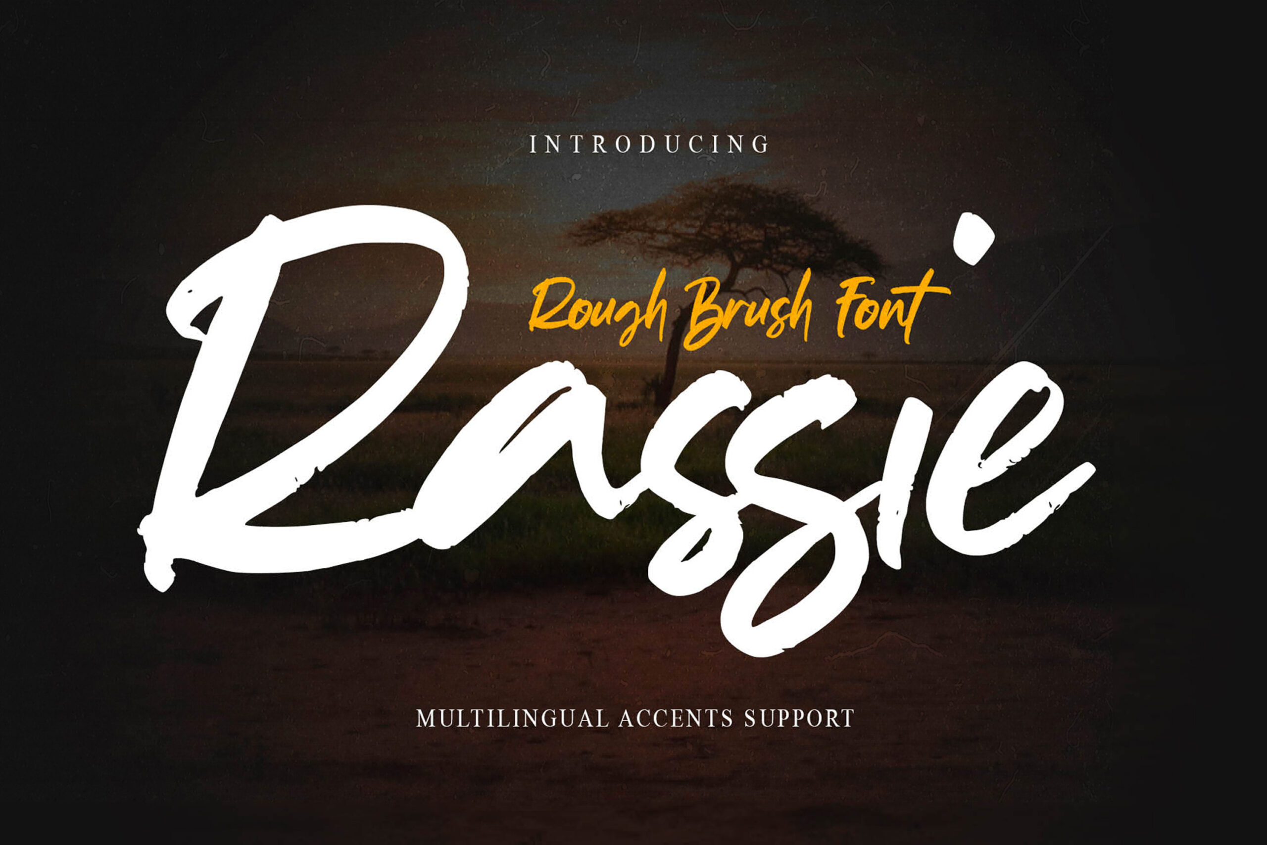 Rassie scaled