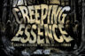 Gallery image item #8