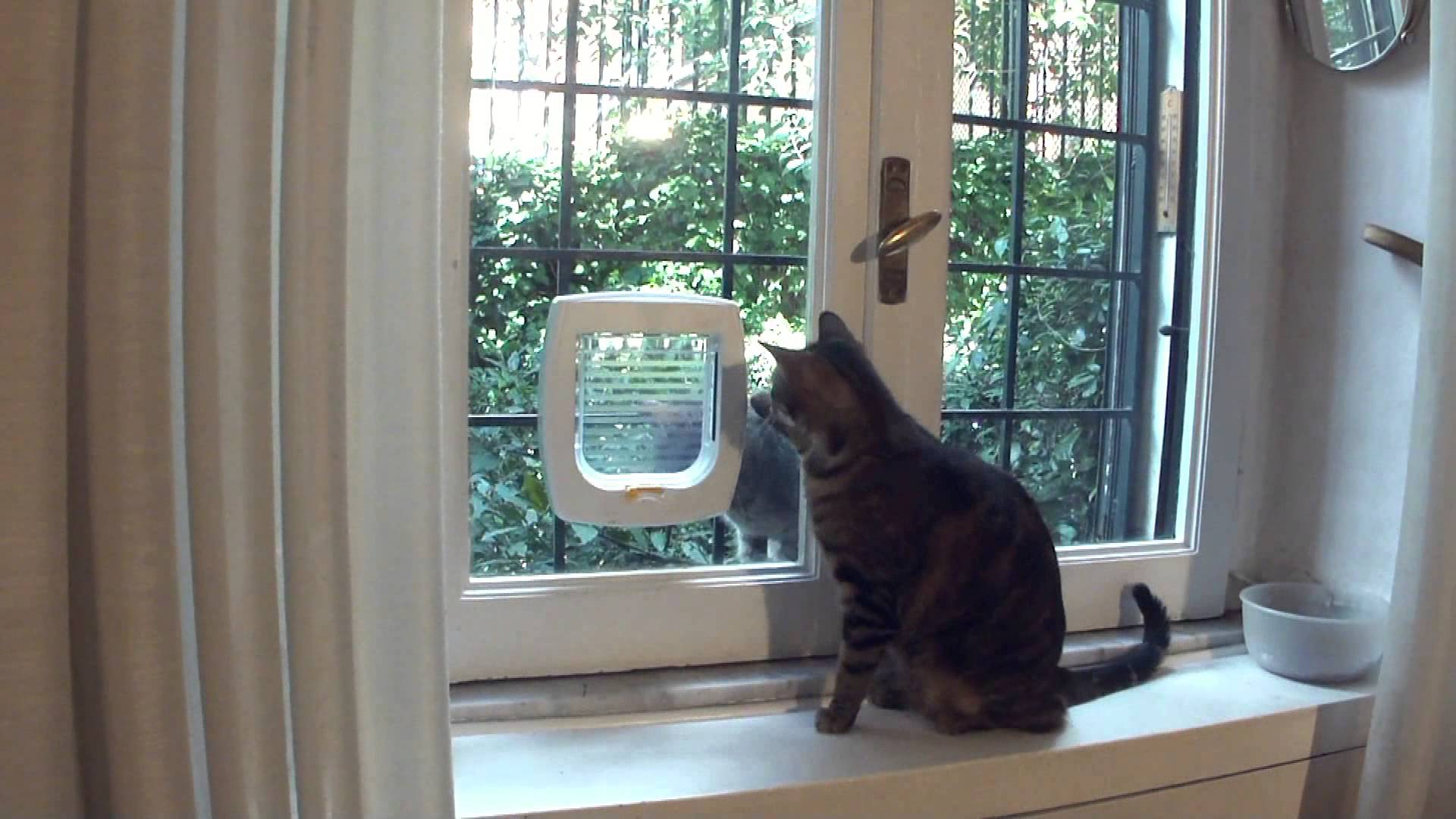 Gratuito immagini Buon Pomeriggio Pagina 52 il piu cool da parte di