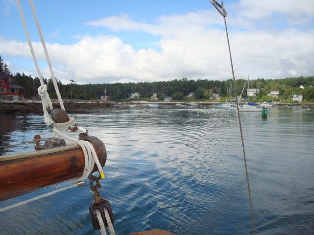 Marshall brain & sara elliott the next time you indulge in an ice c. Noctiluca