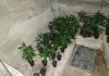 La organización criminal estableció su centro logístico en un taller mecánico en Sant Andreu de la Barca y tenía en Gavà uno de sus proveedores. Foto: Mossos d'Esquadra.