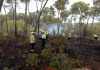 Bomberos en las tareas de extinción. Foto: Bombers de la Generalitat.