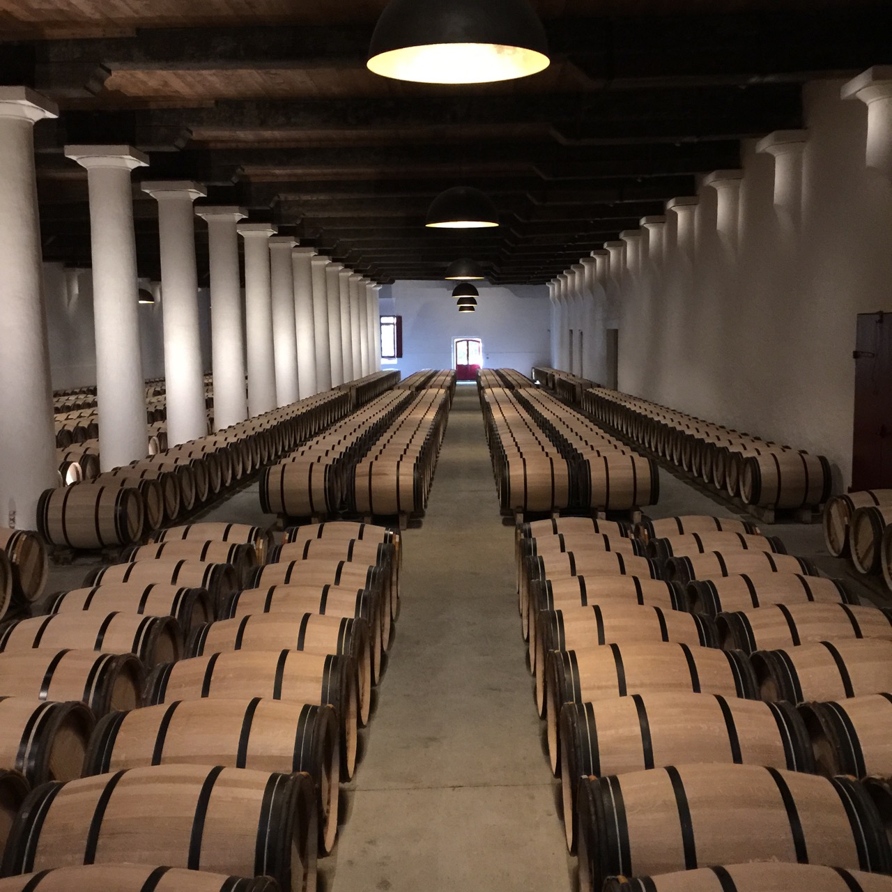 One of the barrel cellars.