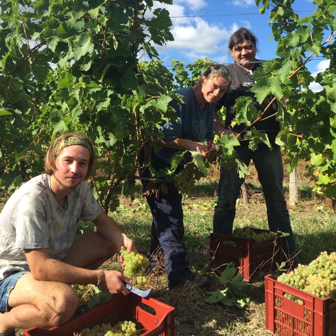 Lucas our stagiaire, Nelly and Daniel