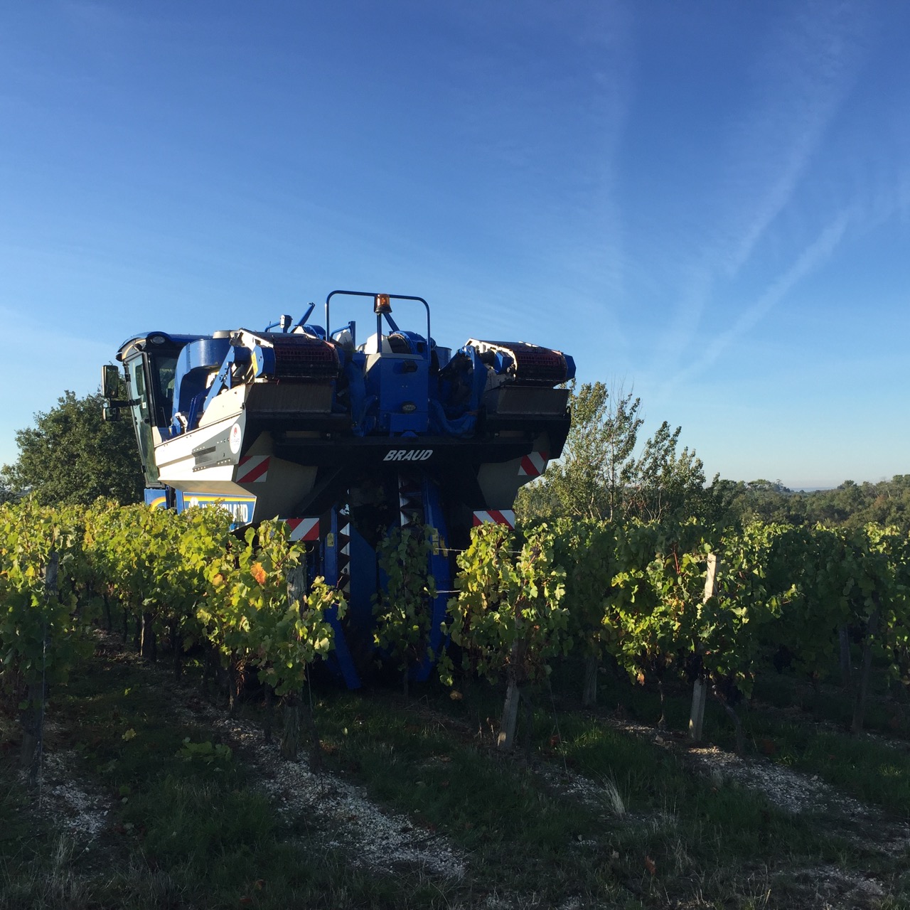 The machine harvester