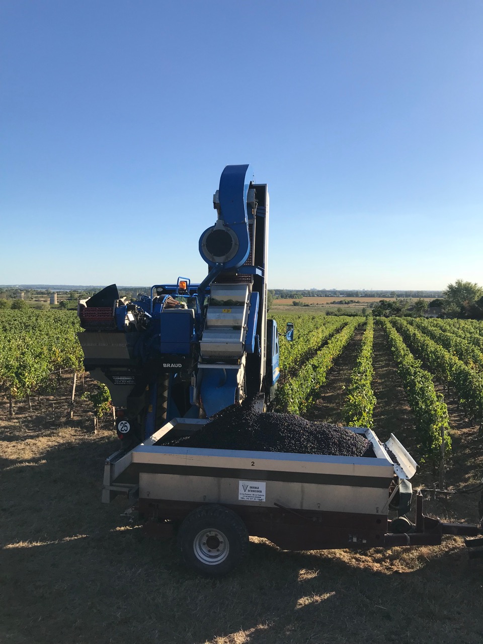 Machine harvest in the Côtes