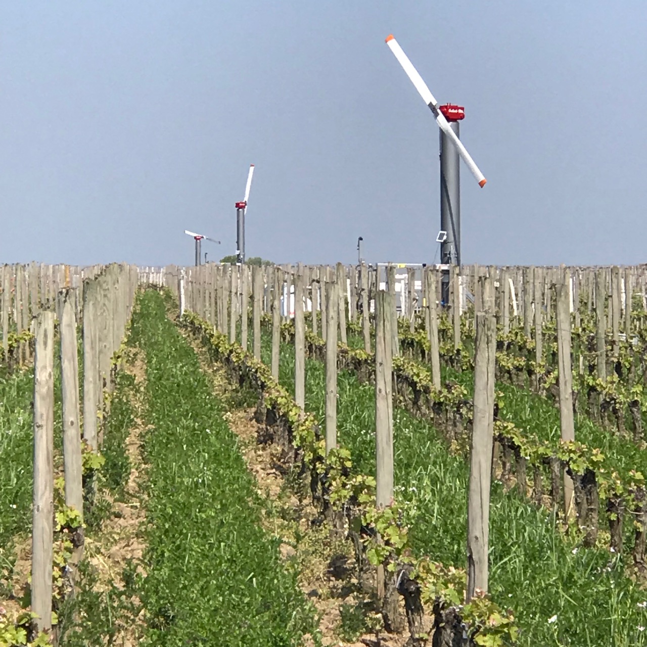 Pomerol