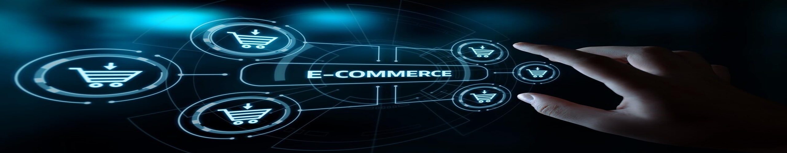 Ecommerce Business Website