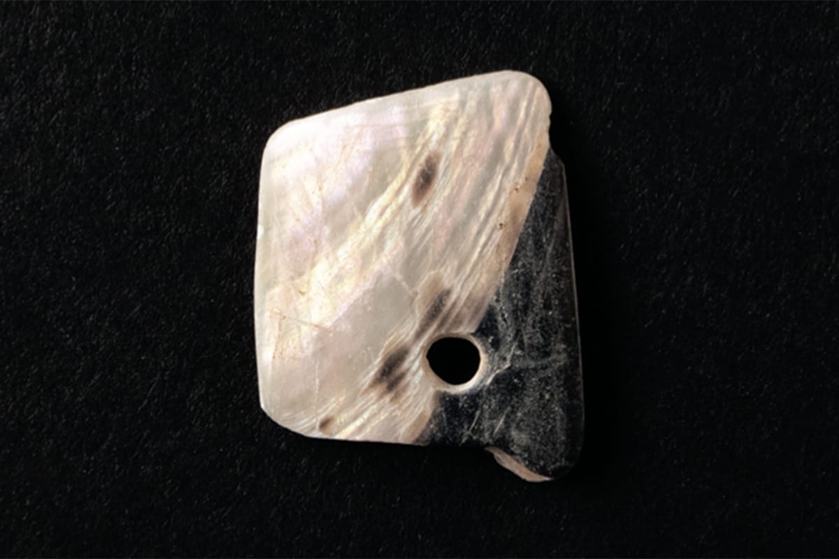 Agua Caliente Abalone Shell