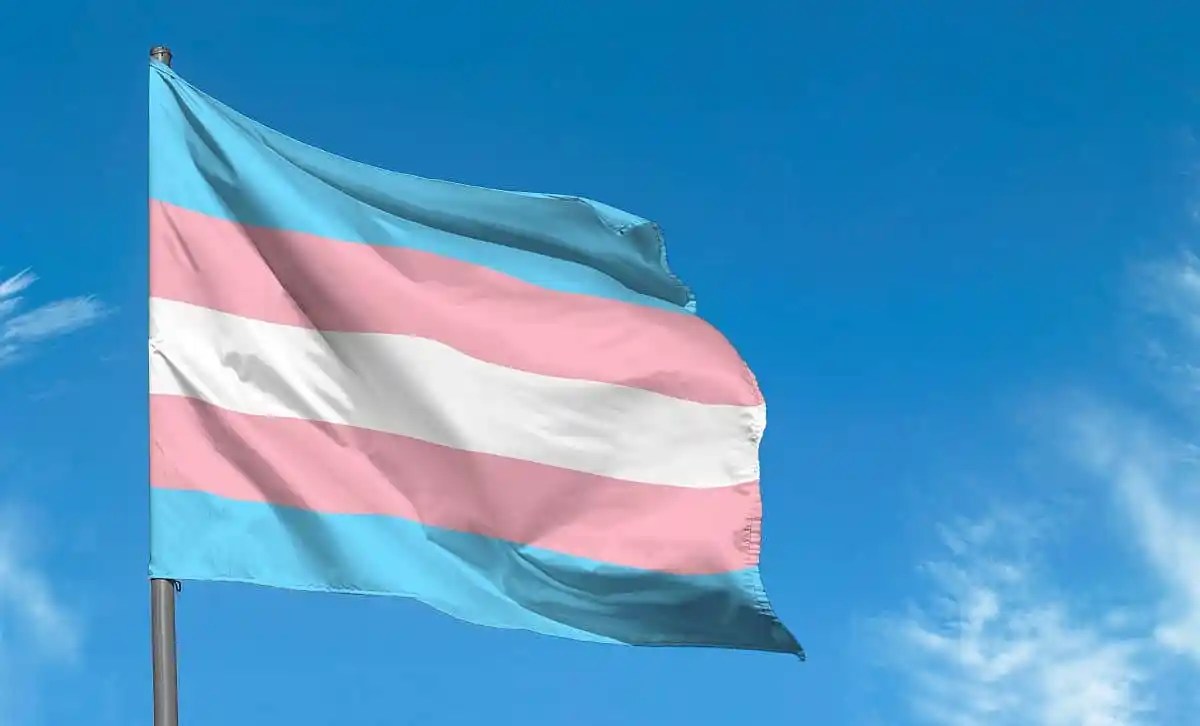 Trans Flag